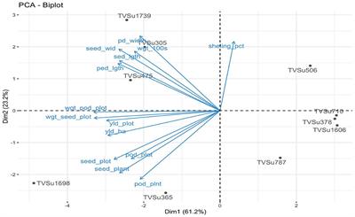 Yield response of accessions of Bambara groundnut (Vigna subterranea (L) Verdc) inoculated with Bradyrhizobium japonicum strains